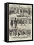 Games of the Highland Brigade at Cairo-Alfred Courbould-Framed Stretched Canvas