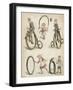 Games with Snakes-Richard Andre-Framed Giclee Print