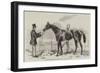 Gamester, the Winner of the St Leger-Harry Hall-Framed Giclee Print