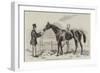 Gamester, the Winner of the St Leger-Harry Hall-Framed Giclee Print