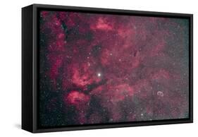 Gamma Cygni Nebulosity Complex with the Crescent Nebula-null-Framed Stretched Canvas