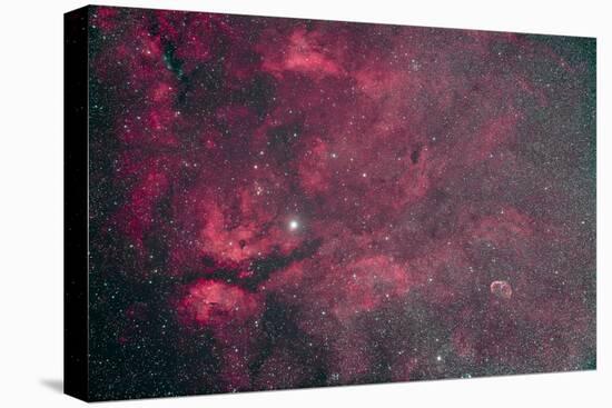 Gamma Cygni Nebulosity Complex with the Crescent Nebula-null-Stretched Canvas