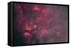 Gamma Cygni Nebulosity Complex with the Crescent Nebula-null-Framed Stretched Canvas