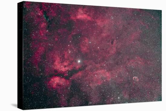 Gamma Cygni Nebulosity Complex with the Crescent Nebula-null-Stretched Canvas