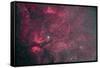 Gamma Cygni Nebulosity Complex with the Crescent Nebula-null-Framed Stretched Canvas
