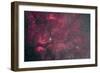 Gamma Cygni Nebulosity Complex with the Crescent Nebula-null-Framed Photographic Print