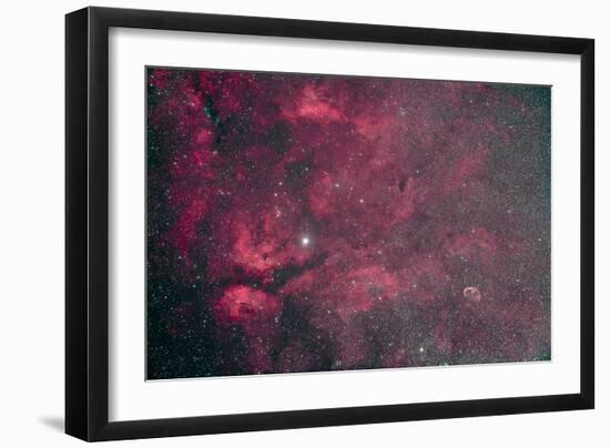 Gamma Cygni Nebulosity Complex with the Crescent Nebula-null-Framed Photographic Print