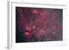 Gamma Cygni Nebulosity Complex with the Crescent Nebula-null-Framed Photographic Print