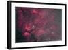 Gamma Cygni Nebulosity Complex with the Crescent Nebula-null-Framed Photographic Print