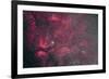 Gamma Cygni Nebulosity Complex with the Crescent Nebula-null-Framed Photographic Print