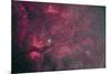 Gamma Cygni Nebulosity Complex with the Crescent Nebula-null-Mounted Photographic Print