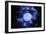 Gamma Ray Burst Formation-null-Framed Photographic Print
