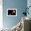 Gamma Ray Burst from Colliding Neutron Stars-null-Framed Photographic Print displayed on a wall