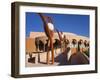 Gammage Auditorium, Architect Frank Lloyd Wright State University, Tempe, Greater Phoenix Area-Richard Cummins-Framed Photographic Print