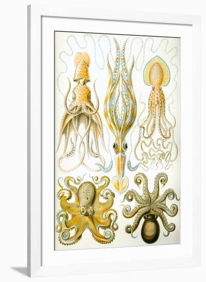 Gamochonia Nature by Ernst Haeckel-Ernst Haeckel-Framed Art Print