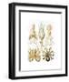 Gamochonia-Ernst Haeckel-Framed Art Print