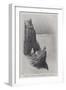 Gamper Bay, Land's End, Longships Lighthouse in the Distance-null-Framed Giclee Print