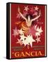 Gancia-null-Framed Stretched Canvas