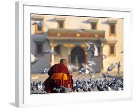 Gandan Khiid Monastery, Ulaan Baatar, Mongolia-Peter Adams-Framed Photographic Print