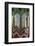 Gandan Monastery, Mongolia's largest functioning monastery, Mongolia, Ulaanbaator-Tom Norring-Framed Photographic Print