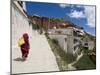 Ganden Monastery, Near Lhasa, Tibet, China-Ethel Davies-Mounted Photographic Print