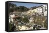 Gandhi Chowk, Mussoorie, Hill Station Above Dehra Dun, Uttarakhand, Garwhal Himalaya, India, Asia-Tony Waltham-Framed Stretched Canvas