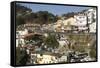 Gandhi Chowk, Mussoorie, Hill Station Above Dehra Dun, Uttarakhand, Garwhal Himalaya, India, Asia-Tony Waltham-Framed Stretched Canvas