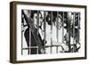 Gandhi-null-Framed Photographic Print