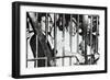 Gandhi-null-Framed Photographic Print