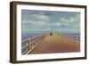 Gandy Bridge, St. Petersburg, Florida-null-Framed Art Print