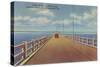 Gandy Bridge, St. Petersburg, Florida-null-Stretched Canvas