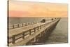 Gandy Bridge, Tampa Bay, Florida-null-Stretched Canvas