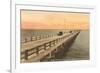 Gandy Bridge, Tampa Bay, Florida-null-Framed Premium Giclee Print