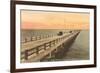 Gandy Bridge, Tampa Bay, Florida-null-Framed Premium Giclee Print