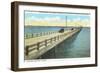 Gandy Bridge, Tampa Bay, Florida-null-Framed Art Print