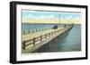 Gandy Bridge, Tampa Bay, Florida-null-Framed Art Print