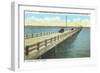 Gandy Bridge, Tampa Bay, Florida-null-Framed Art Print