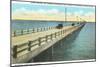 Gandy Bridge, Tampa Bay, Florida-null-Mounted Art Print