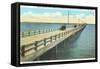 Gandy Bridge, Tampa Bay, Florida-null-Framed Stretched Canvas