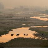 Elephants Crossing River-Ganesh H Shankar-Framed Photographic Print