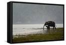 Canvas Black
