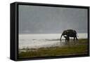 Canvas Black