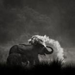 Mud Bath-Ganesh H Shankar-Photographic Print