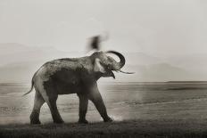 Elephants Crossing River-Ganesh H Shankar-Photographic Print