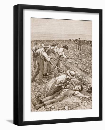 Gang System' of Farming, 1867, Illustration from 'Cassell's Illustrated History of England'-null-Framed Giclee Print