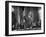 Gangster Mickey Cohen Testifying before Senate Racket Comm-Ed Clark-Framed Photographic Print