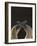Gannet breeding pair during courtship ritual, Saltee Islands-Andrew Parkinson-Framed Photographic Print