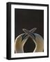 Gannet breeding pair during courtship ritual, Saltee Islands-Andrew Parkinson-Framed Photographic Print