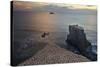 Gannet Colony Breeding Colony of the Australasian-null-Stretched Canvas