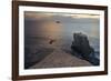 Gannet Colony Breeding Colony of the Australasian-null-Framed Photographic Print